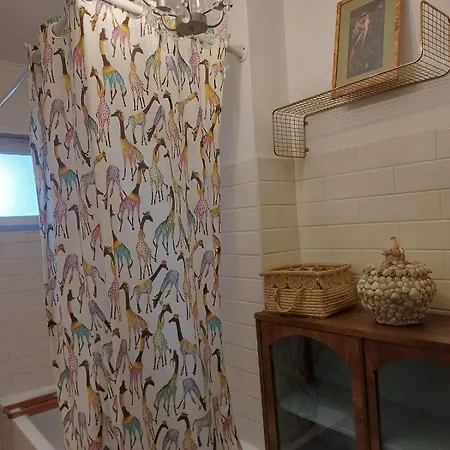 Historical With Panoramic Terrace Apartman